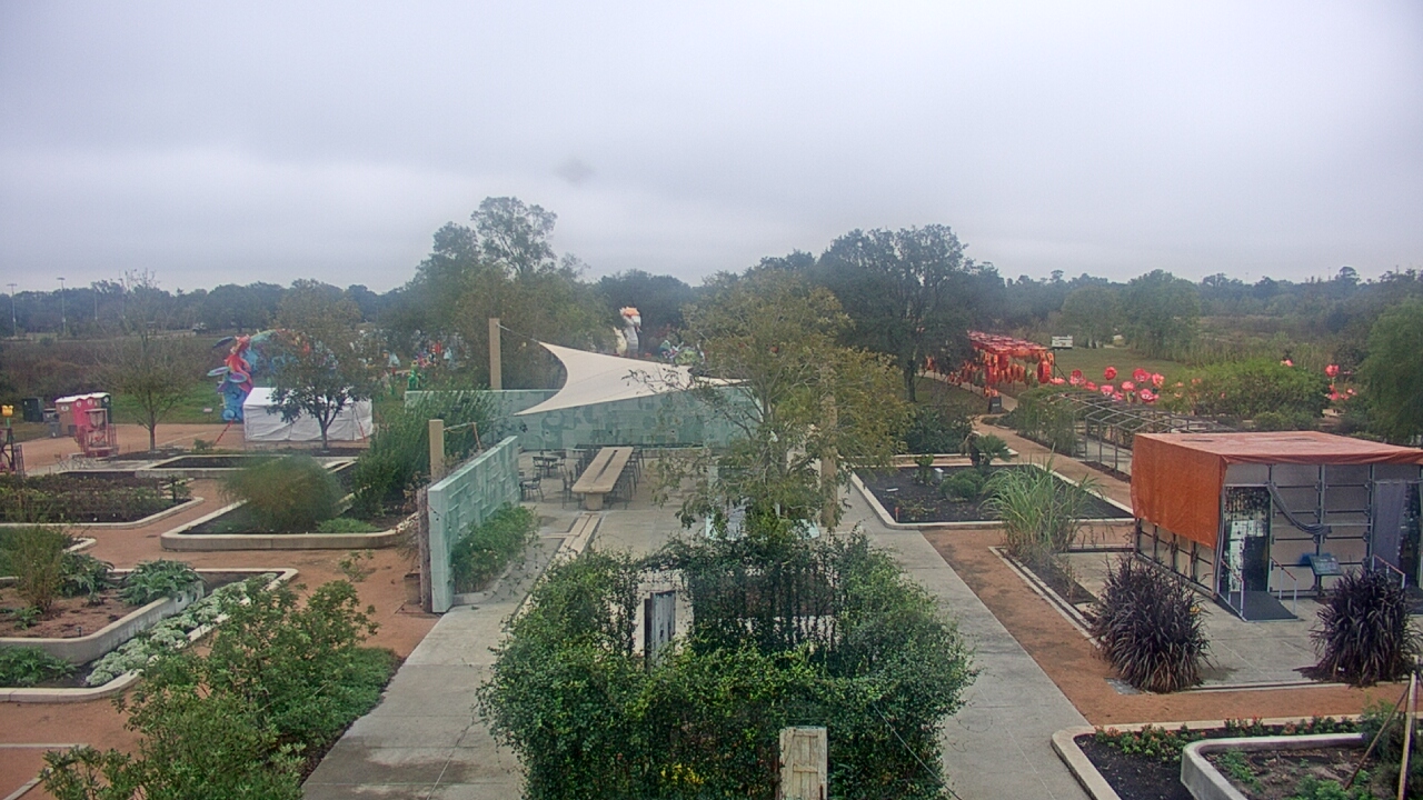 Thumbnail for current weather camera view from Houston Botanic Garden in Houston, Texas