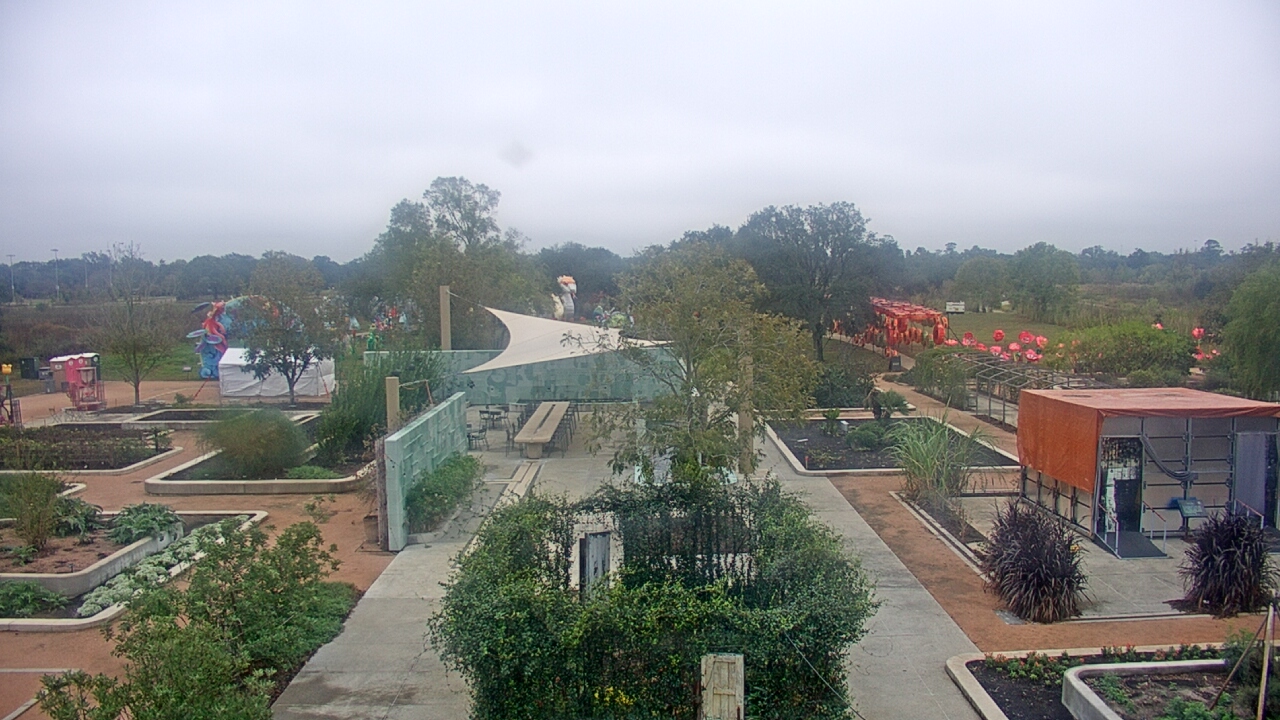 Thumbnail for current weather camera view from Houston Botanic Garden in Houston, Texas