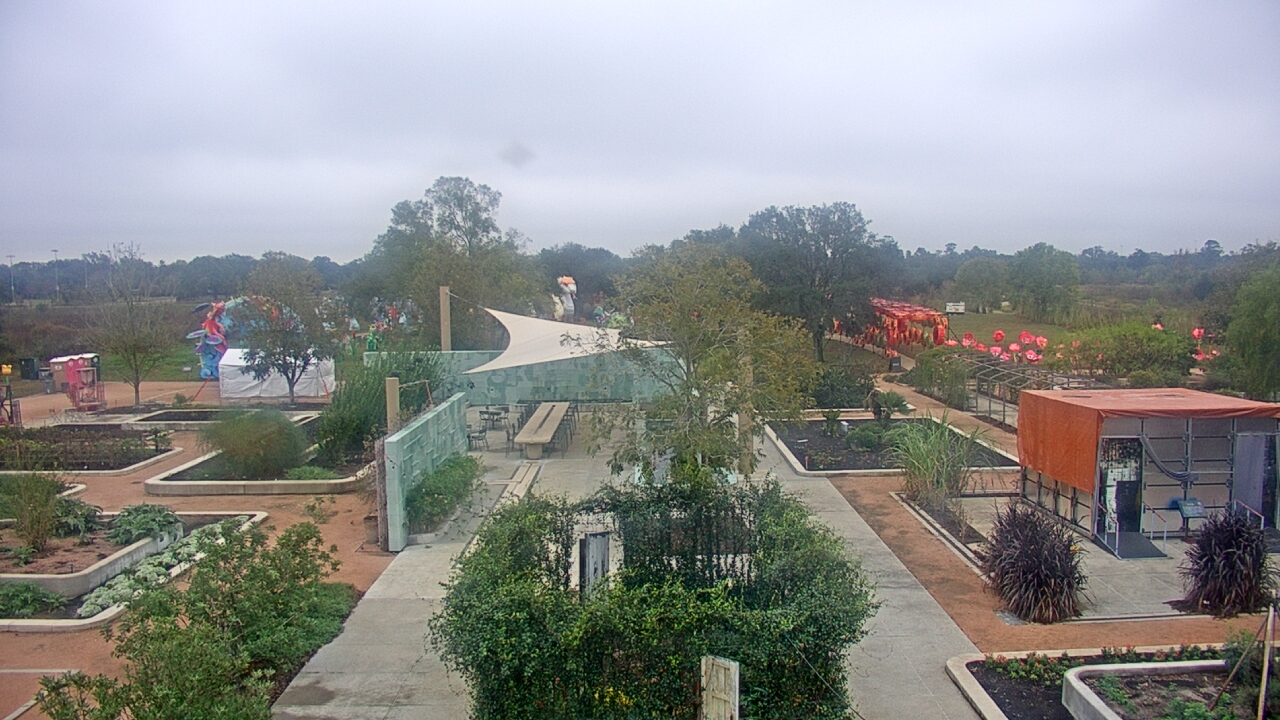 Thumbnail for current weather camera view from Houston Botanic Garden in Houston, Texas