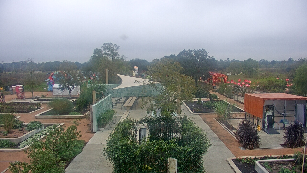Thumbnail for current weather camera view from Houston Botanic Garden in Houston, Texas