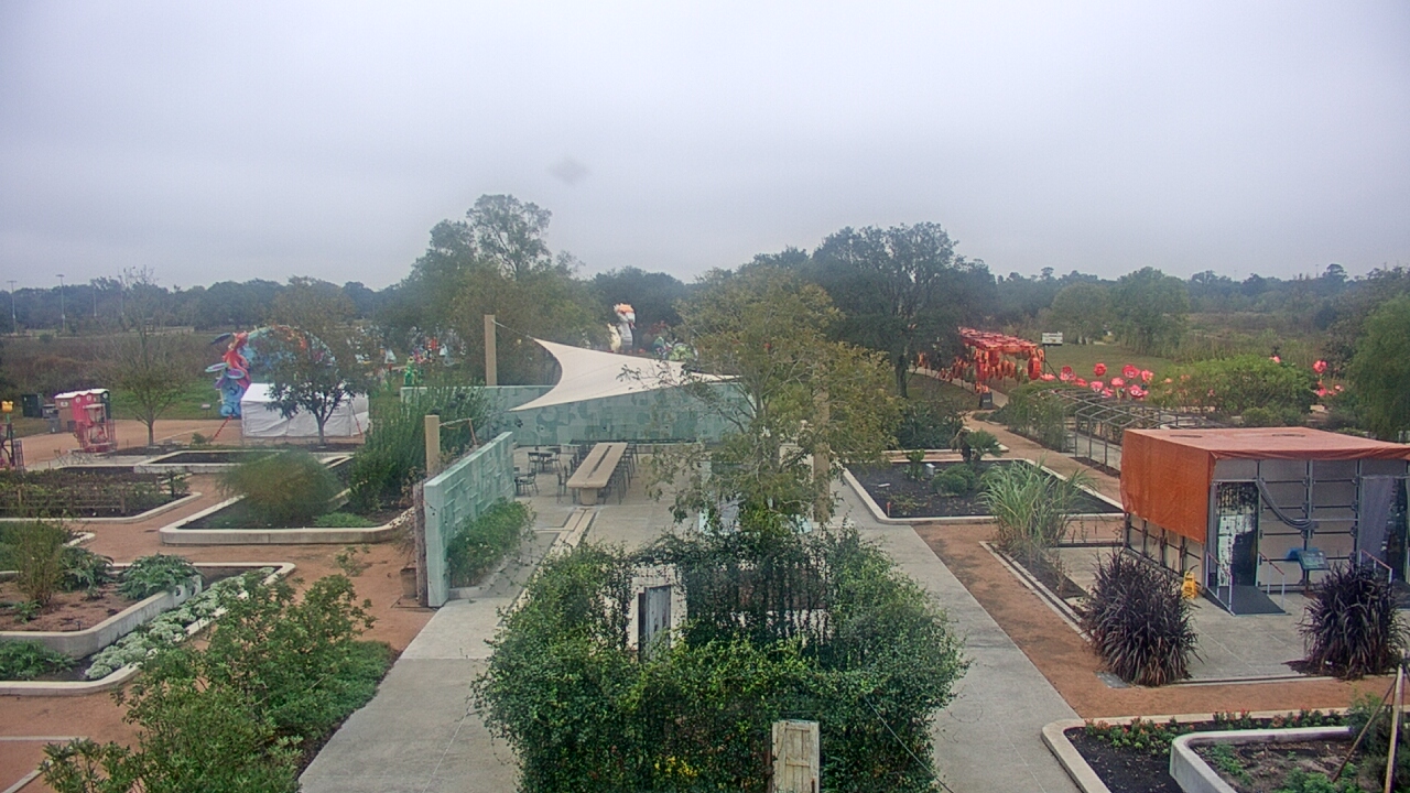 Thumbnail for current weather camera view from Houston Botanic Garden in Houston, Texas