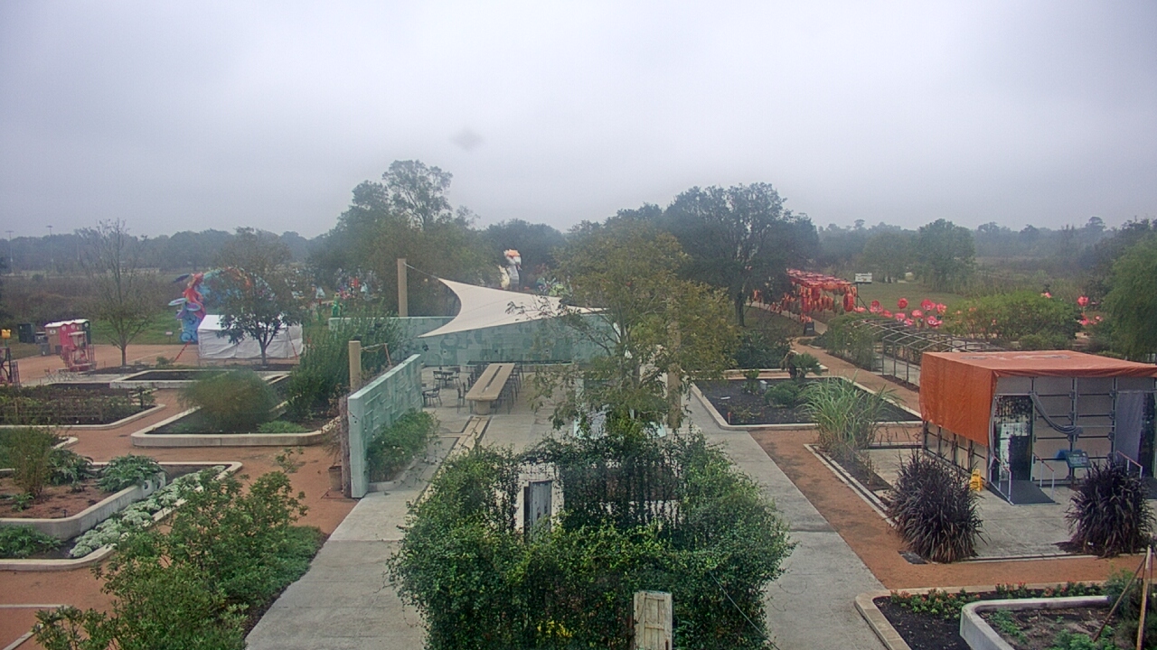 Thumbnail for current weather camera view from Houston Botanic Garden in Houston, Texas