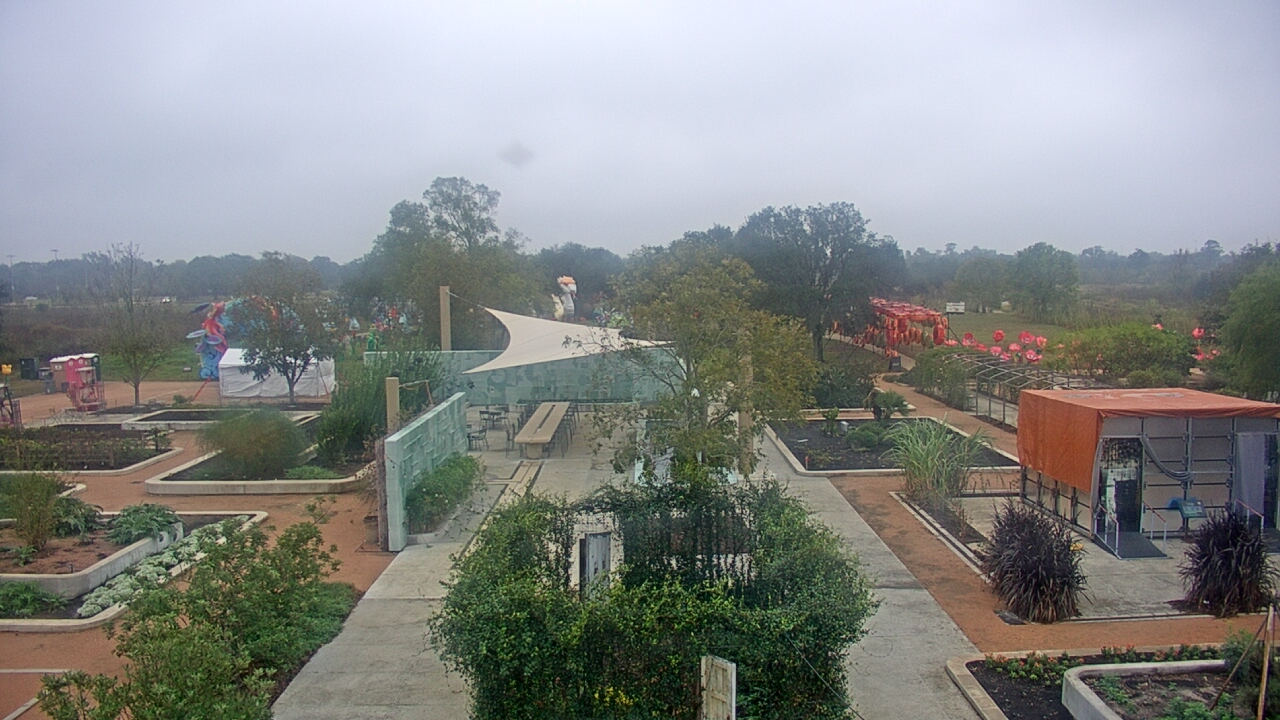 Thumbnail for current weather camera view from Houston Botanic Garden in Houston, Texas