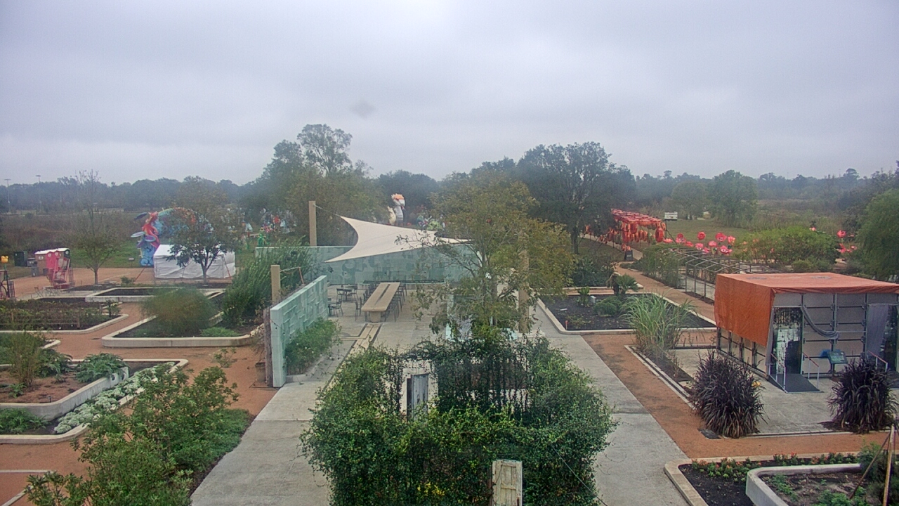 Thumbnail for current weather camera view from Houston Botanic Garden in Houston, Texas