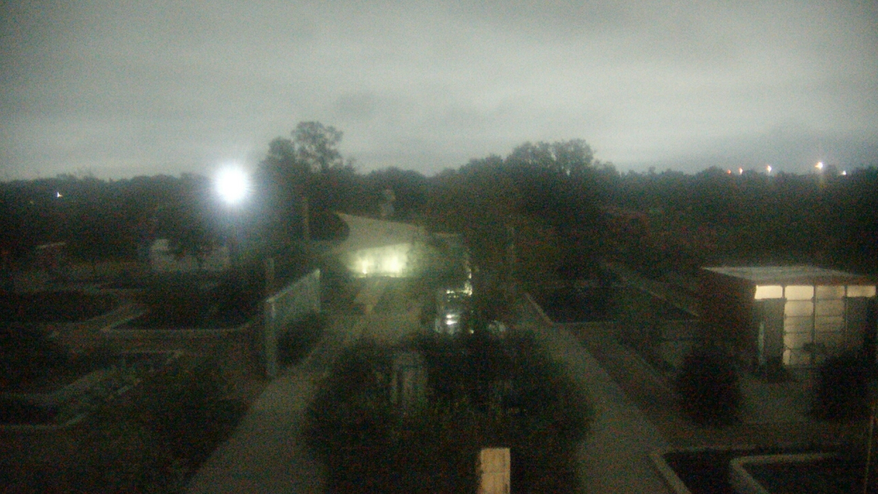 Thumbnail for current weather camera view from Houston Botanic Garden in Houston, Texas