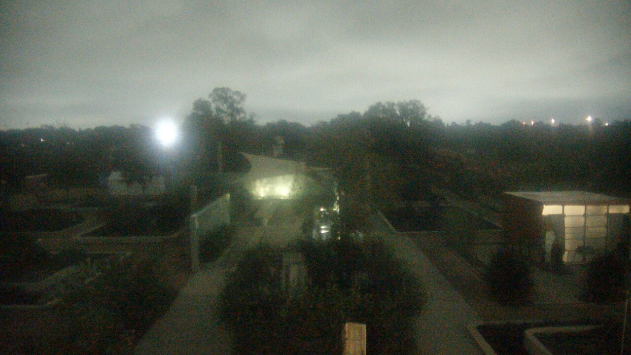 Thumbnail for current weather camera view from Houston Botanic Garden in Houston, Texas