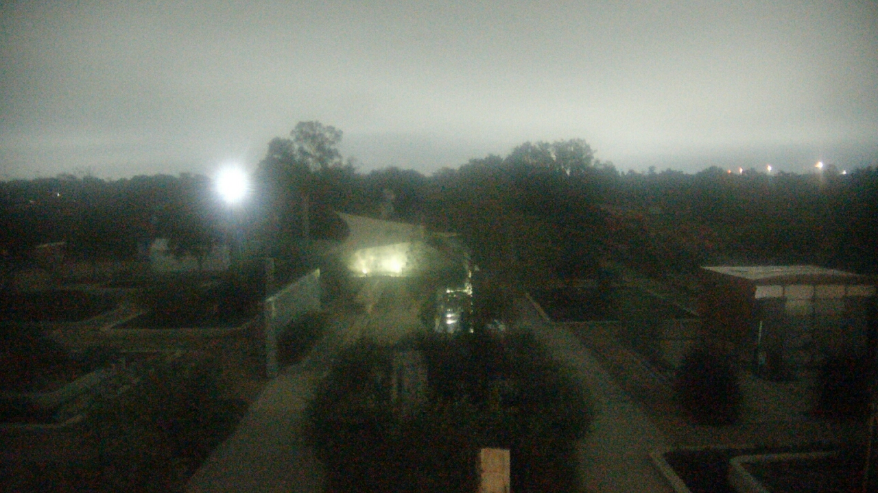 Thumbnail for current weather camera view from Houston Botanic Garden in Houston, Texas