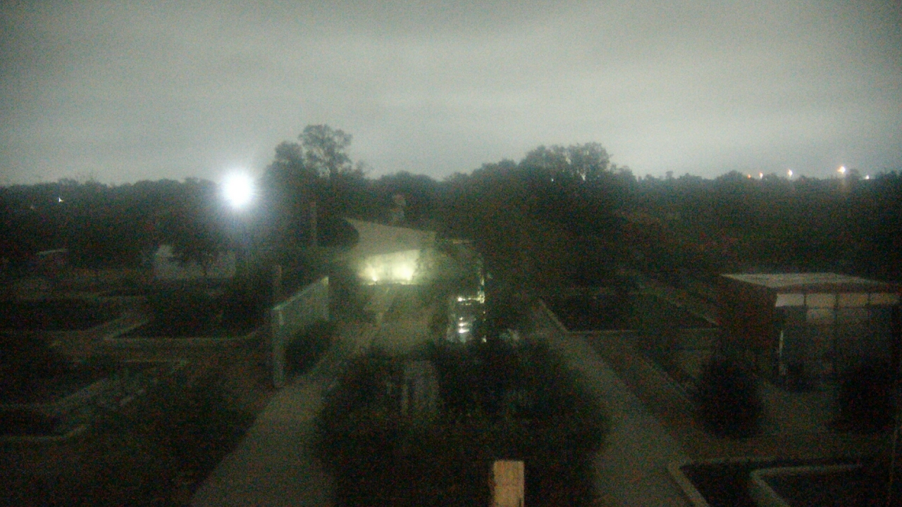 Thumbnail for current weather camera view from Houston Botanic Garden in Houston, Texas