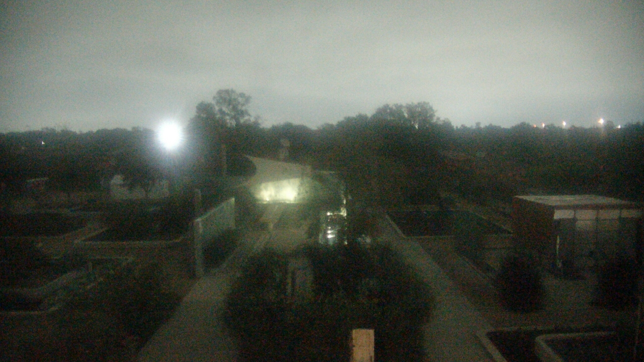 Thumbnail for current weather camera view from Houston Botanic Garden in Houston, Texas