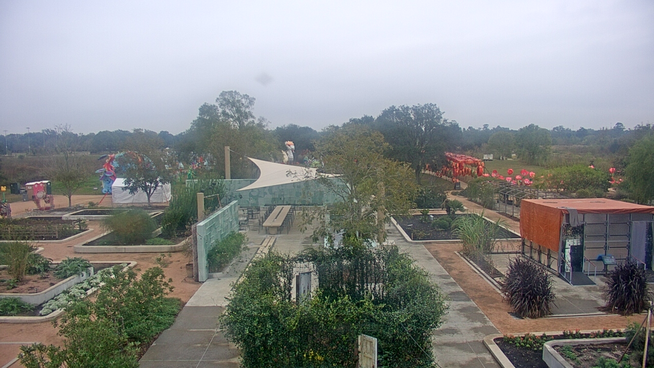Thumbnail for current weather camera view from Houston Botanic Garden in Houston, Texas