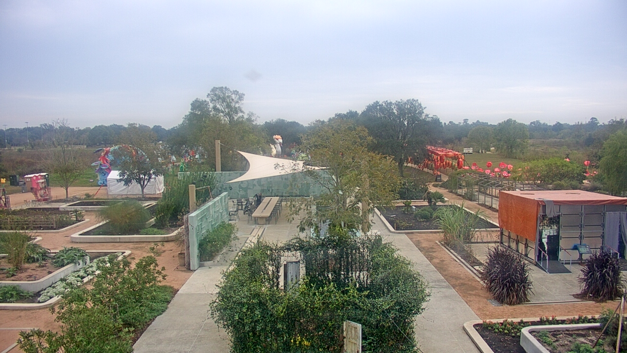 Thumbnail for current weather camera view from Houston Botanic Garden in Houston, Texas