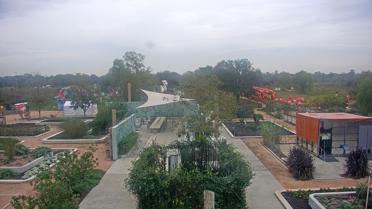 Thumbnail for current weather camera view from Houston Botanic Garden in Houston, Texas