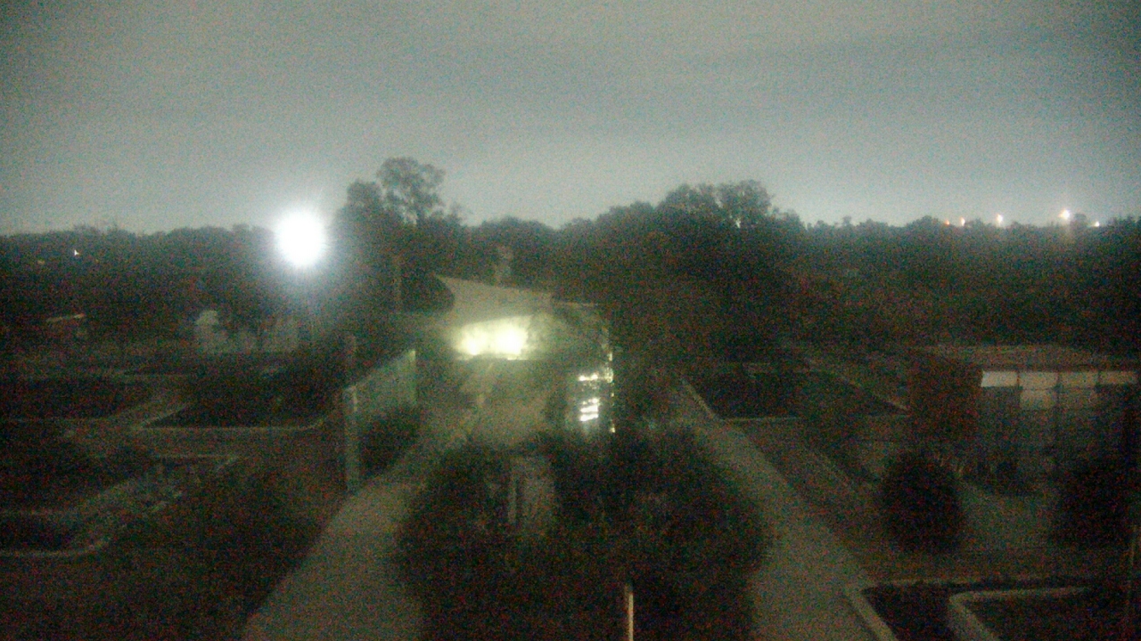 Thumbnail for current weather camera view from Houston Botanic Garden in Houston, Texas