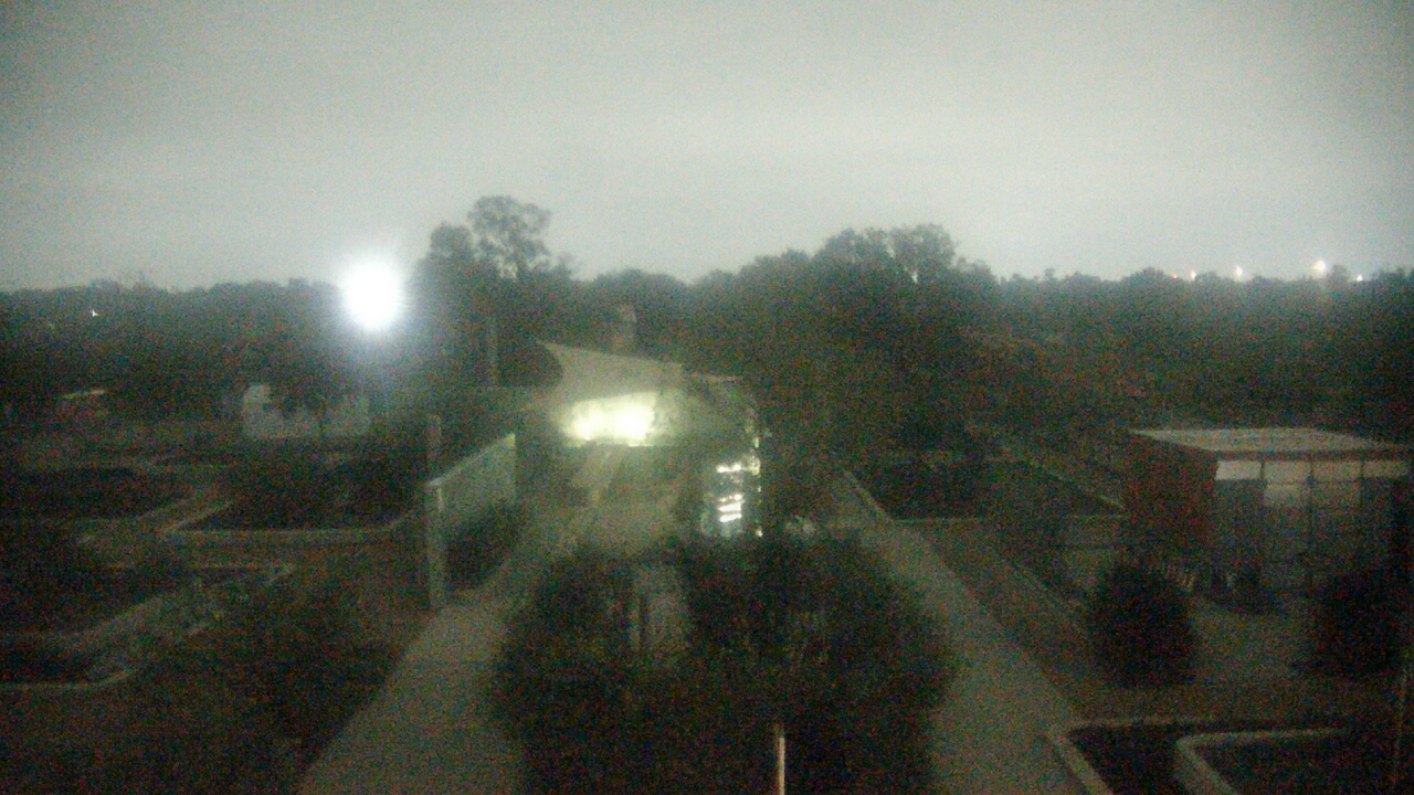 Thumbnail for current weather camera view from Houston Botanic Garden in Houston, Texas