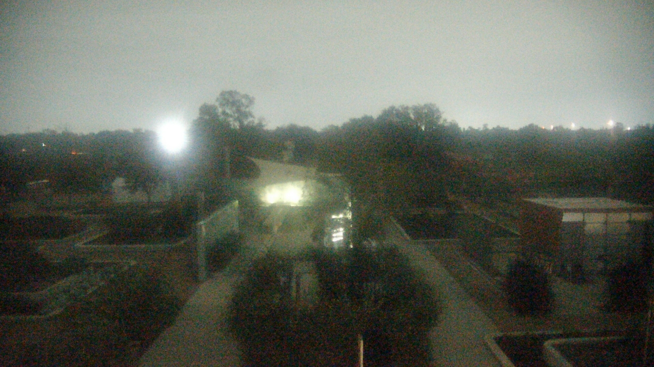 Thumbnail for current weather camera view from Houston Botanic Garden in Houston, Texas