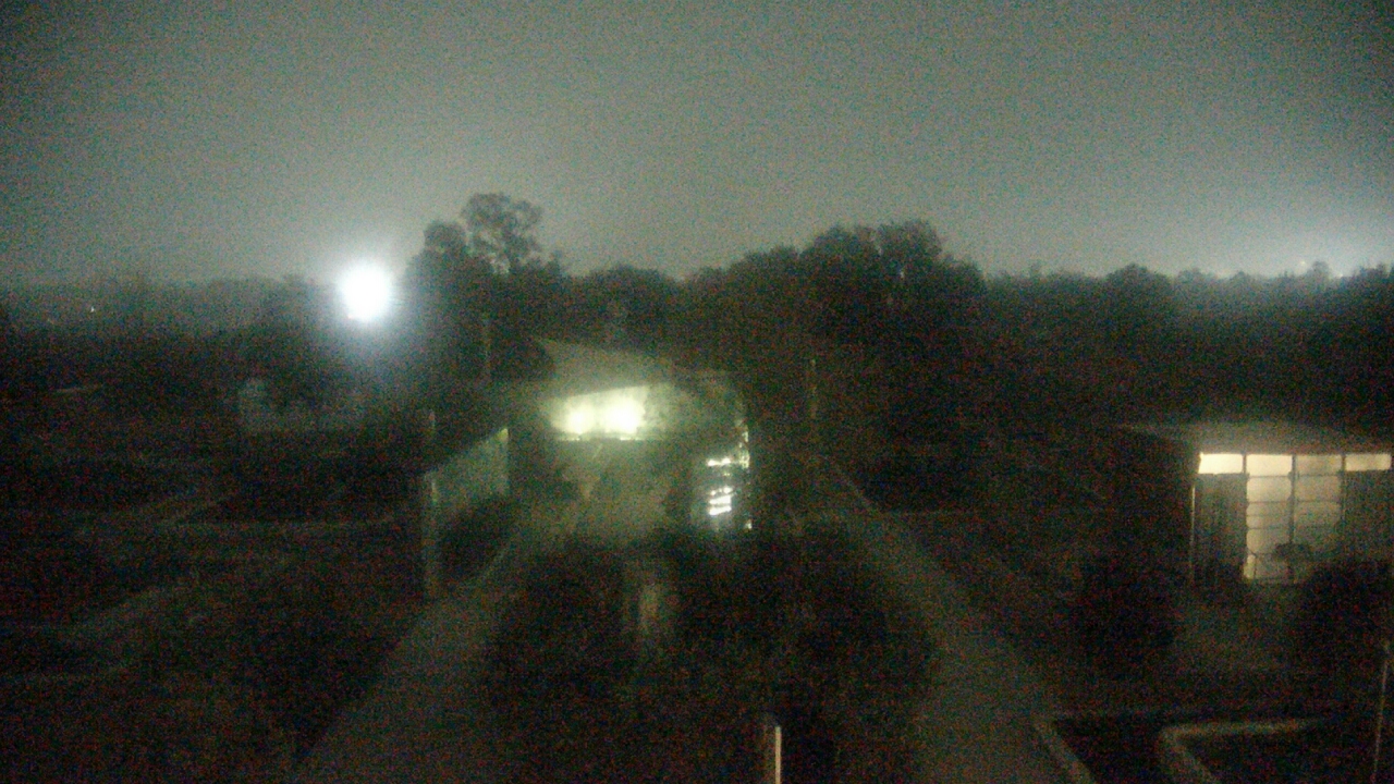 Thumbnail for current weather camera view from Houston Botanic Garden in Houston, Texas