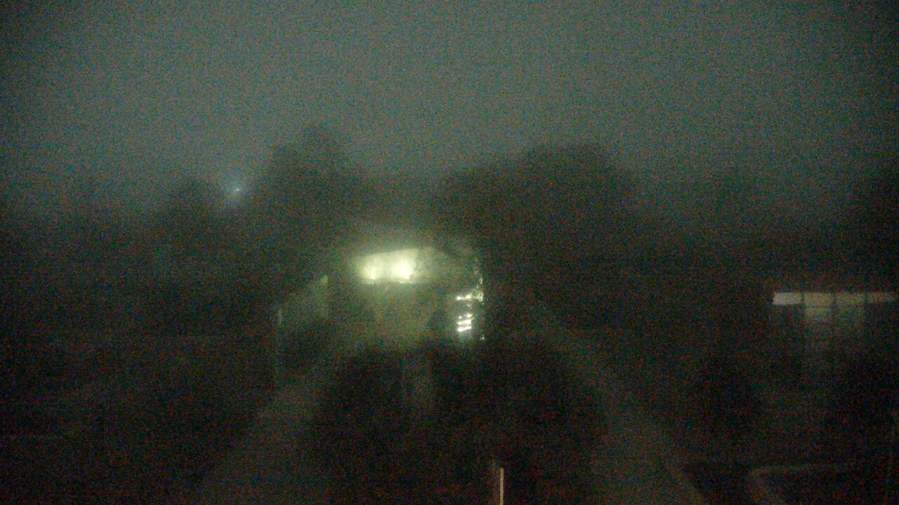 Thumbnail for current weather camera view from Houston Botanic Garden in Houston, Texas