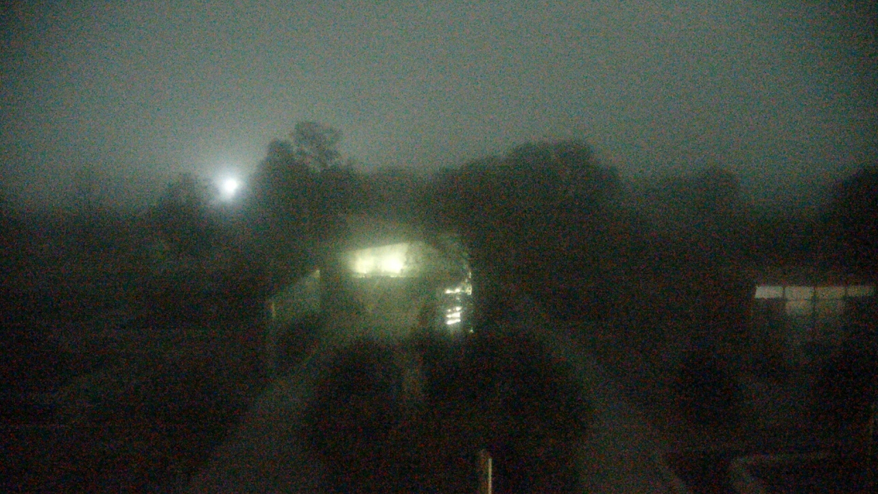 Thumbnail for current weather camera view from Houston Botanic Garden in Houston, Texas
