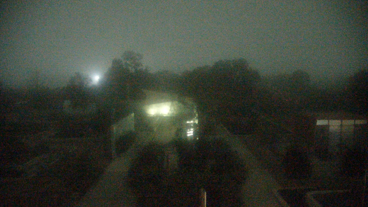 Thumbnail for current weather camera view from Houston Botanic Garden in Houston, Texas