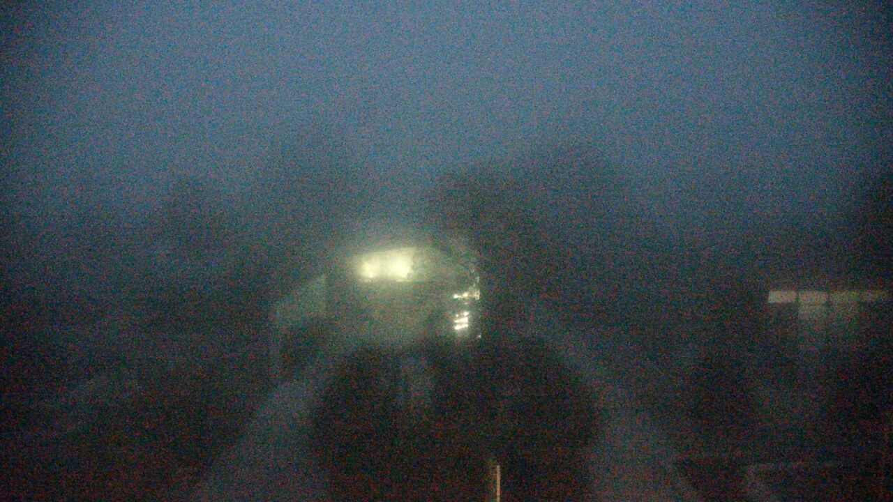 Thumbnail for current weather camera view from Houston Botanic Garden in Houston, Texas