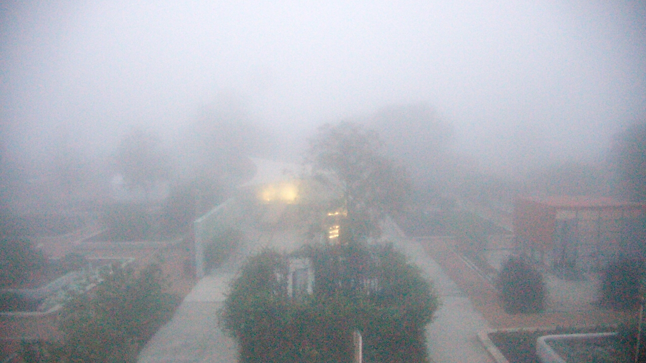 Thumbnail for current weather camera view from Houston Botanic Garden in Houston, Texas