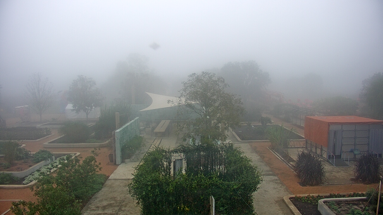 Thumbnail for current weather camera view from Houston Botanic Garden in Houston, Texas