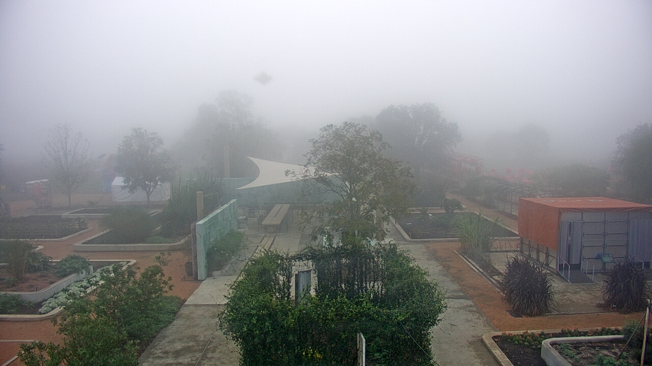 Thumbnail for current weather camera view from Houston Botanic Garden in Houston, Texas