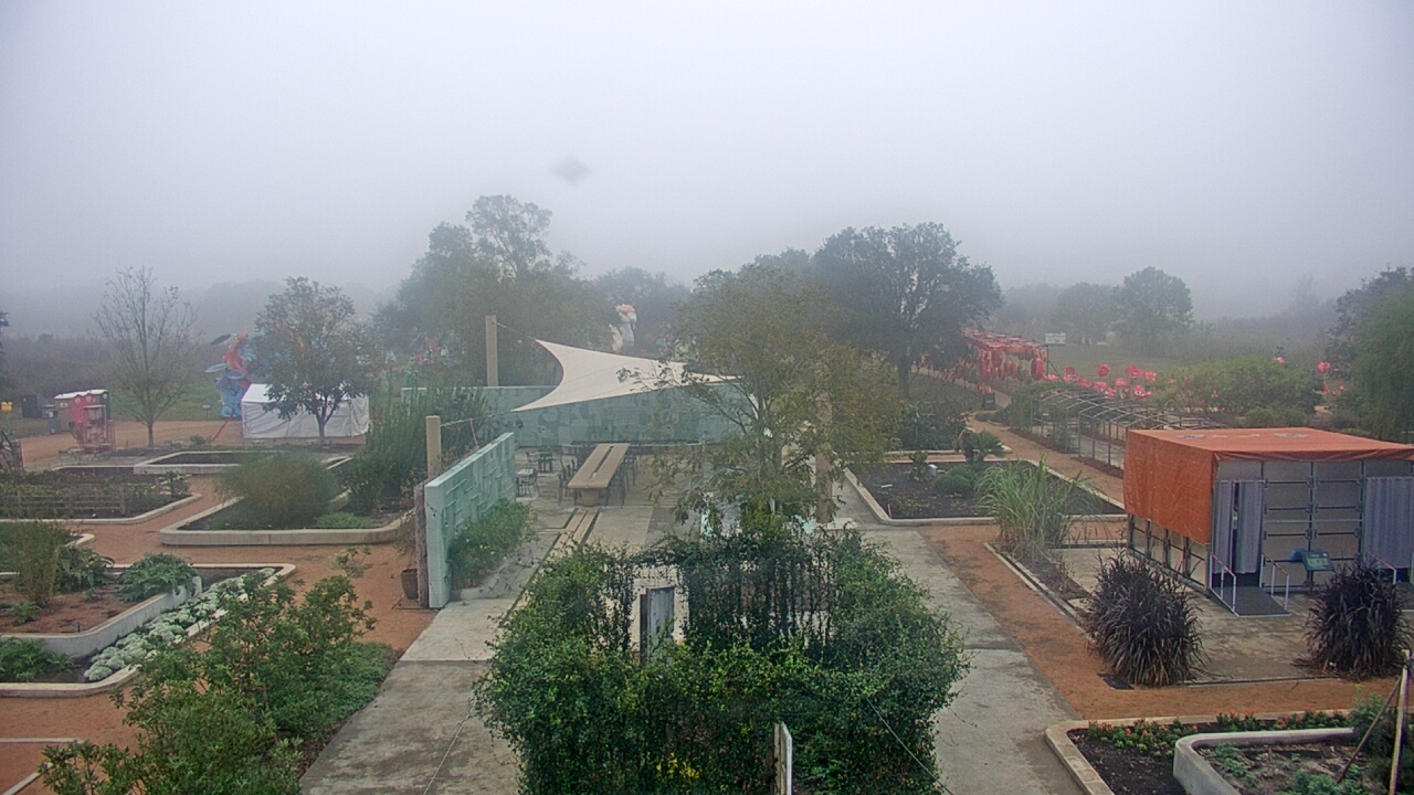 Thumbnail for current weather camera view from Houston Botanic Garden in Houston, Texas