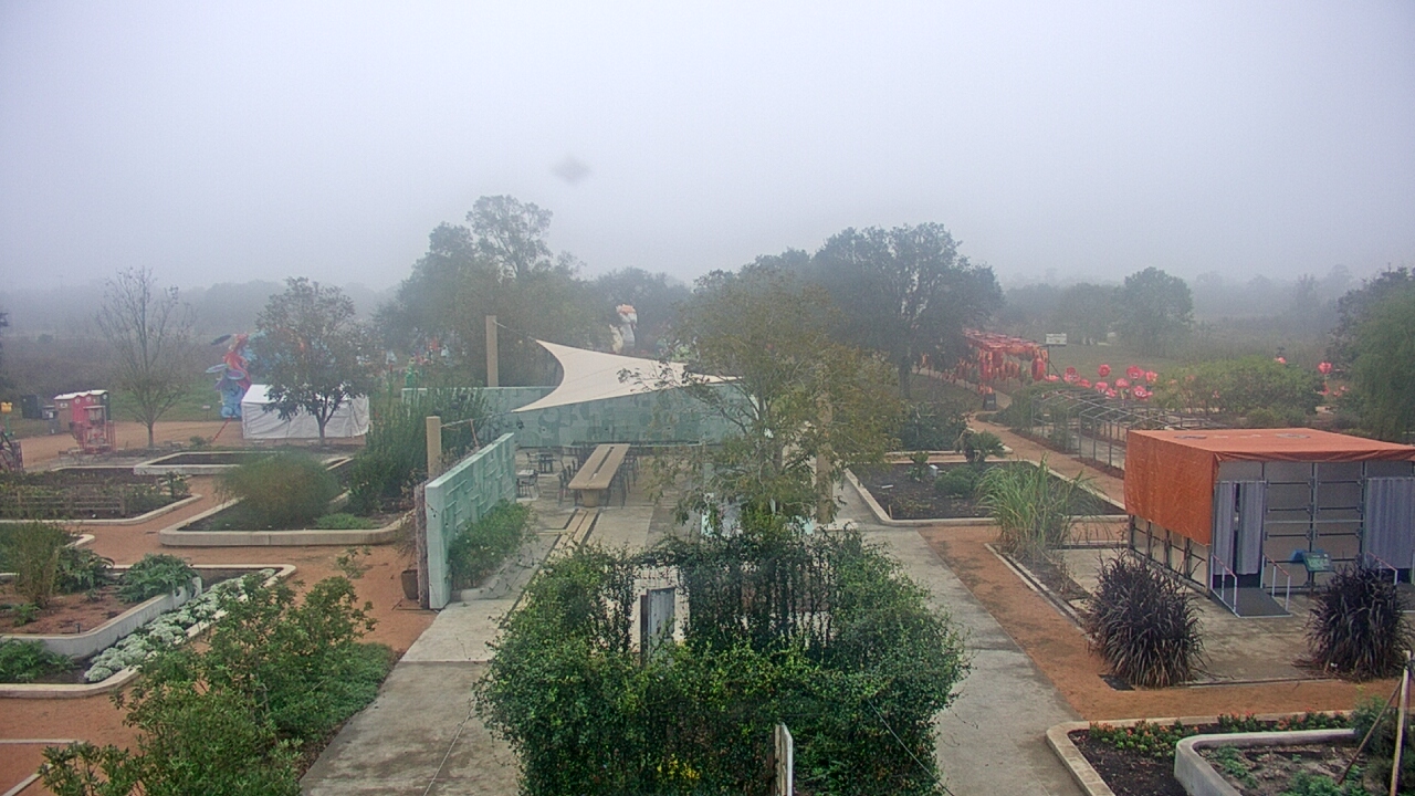 Thumbnail for current weather camera view from Houston Botanic Garden in Houston, Texas