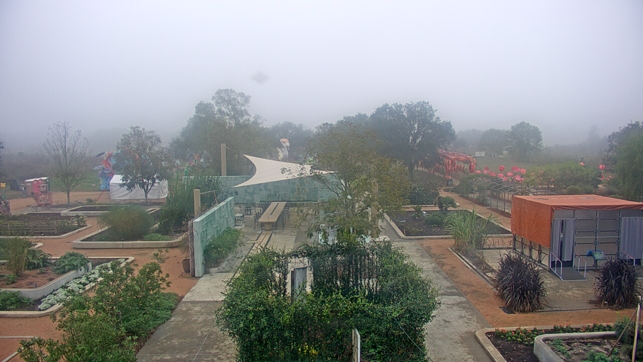 Thumbnail for current weather camera view from Houston Botanic Garden in Houston, Texas