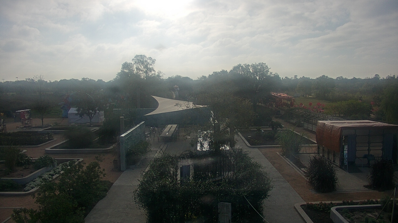 Thumbnail for current weather camera view from Houston Botanic Garden in Houston, Texas