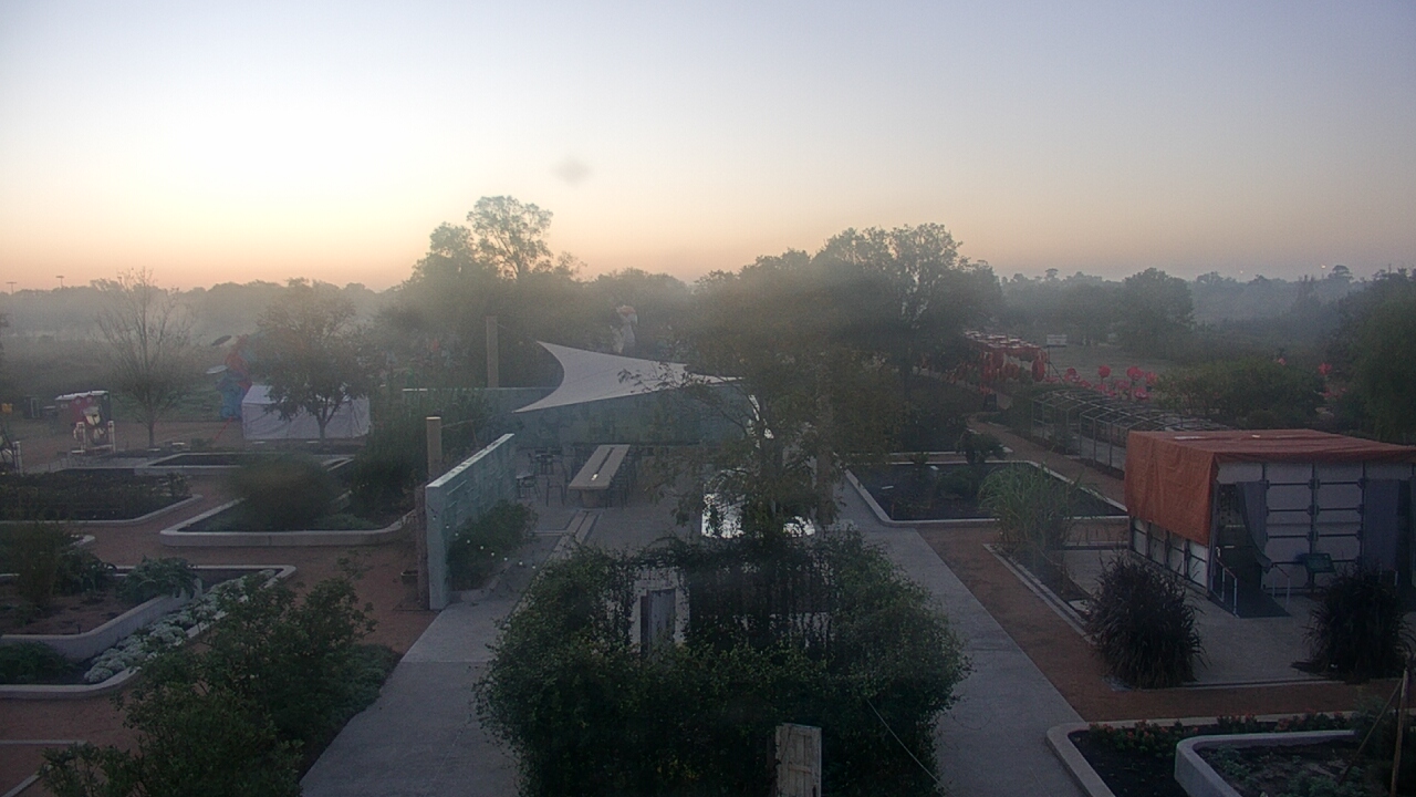Thumbnail for current weather camera view from Houston Botanic Garden in Houston, Texas