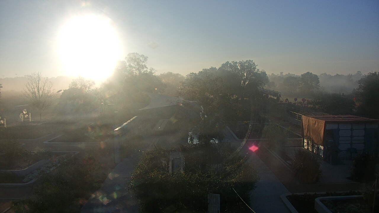 Thumbnail for current weather camera view from Houston Botanic Garden in Houston, Texas