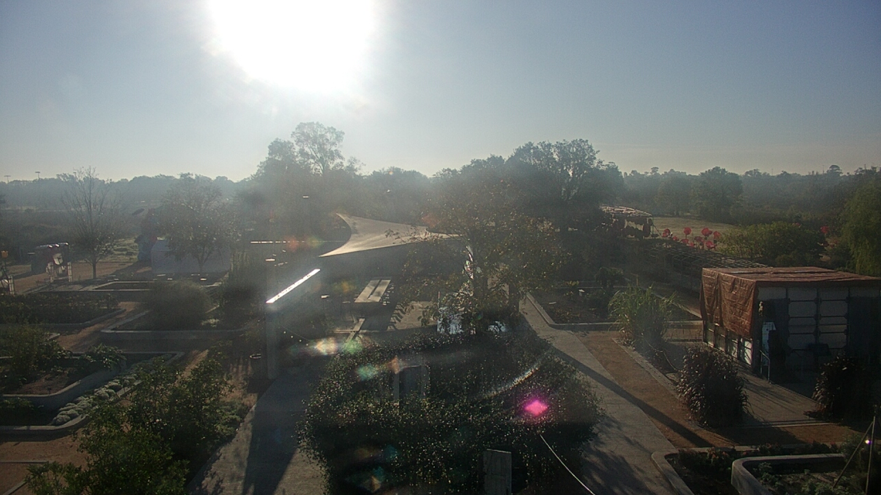 Thumbnail for current weather camera view from Houston Botanic Garden in Houston, Texas
