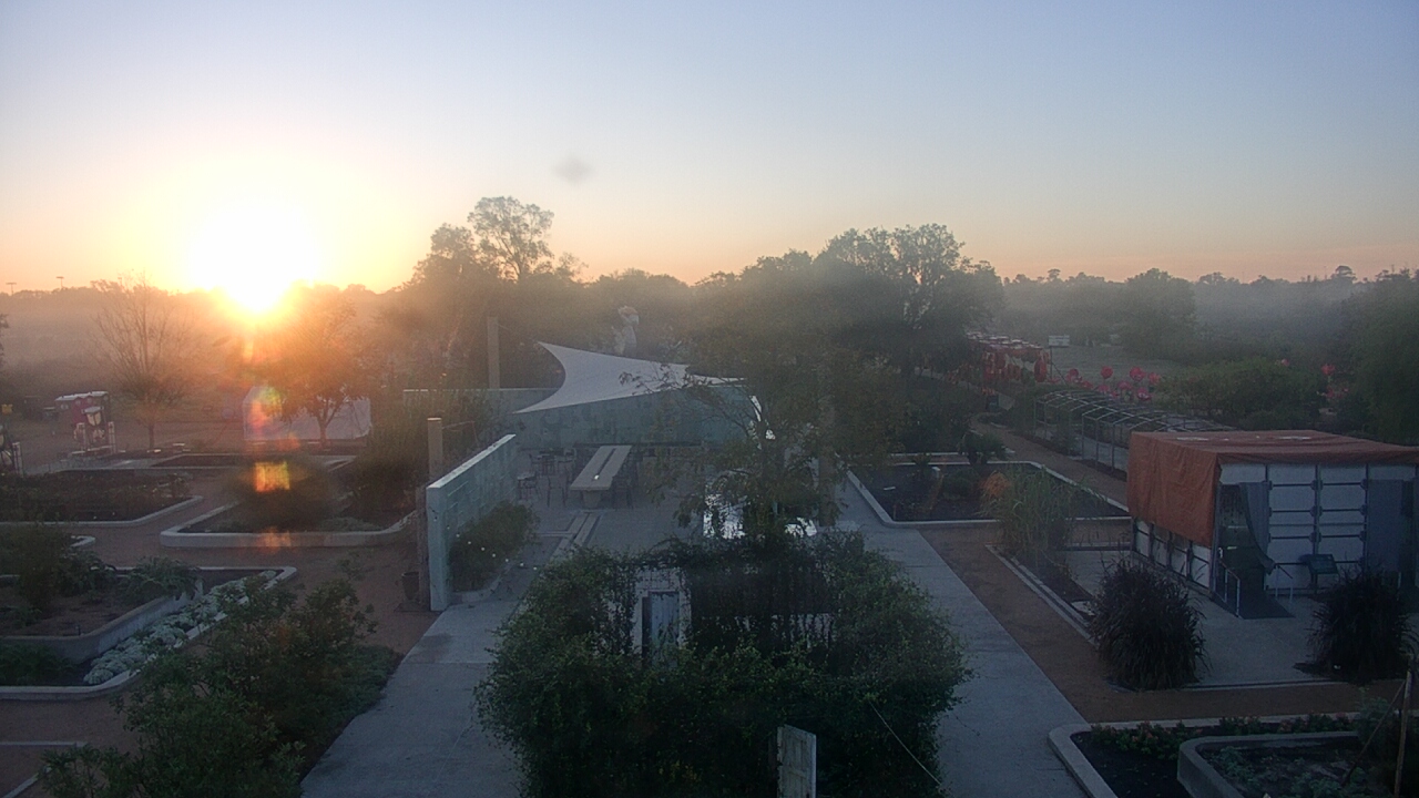 Thumbnail for current weather camera view from Houston Botanic Garden in Houston, Texas