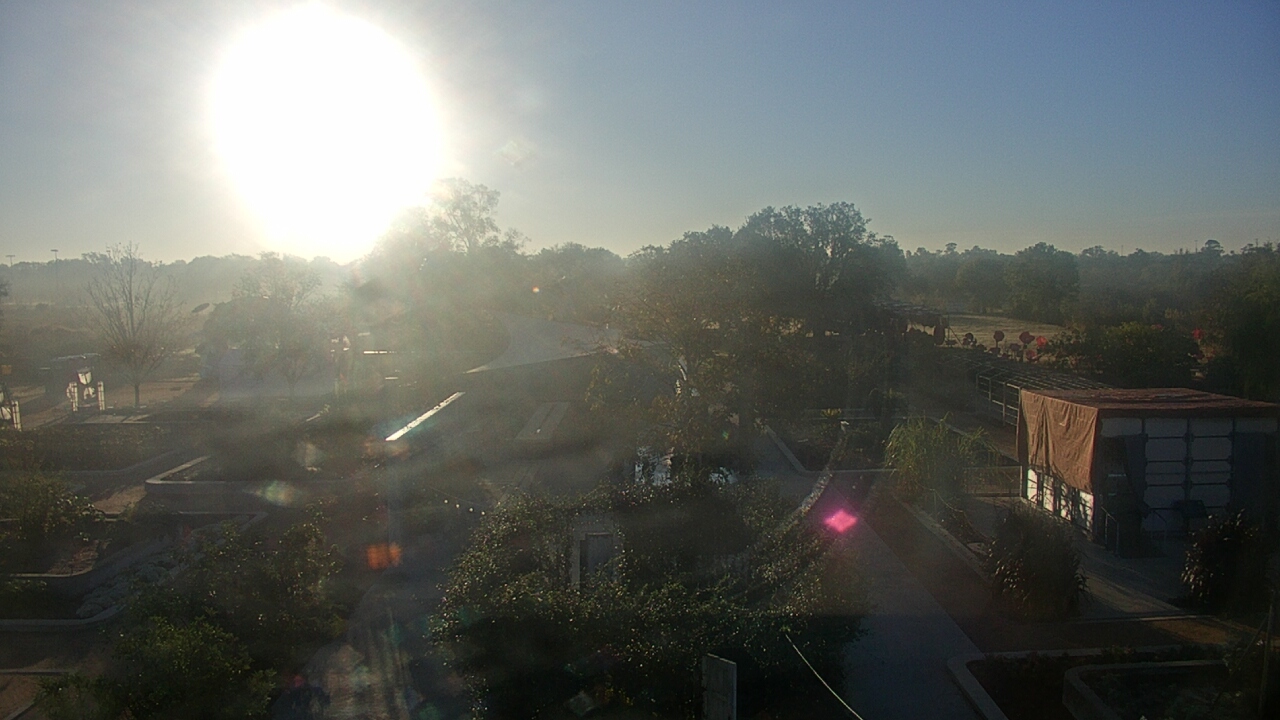 Thumbnail for current weather camera view from Houston Botanic Garden in Houston, Texas