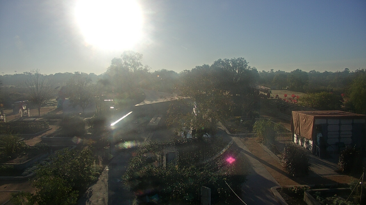 Thumbnail for current weather camera view from Houston Botanic Garden in Houston, Texas