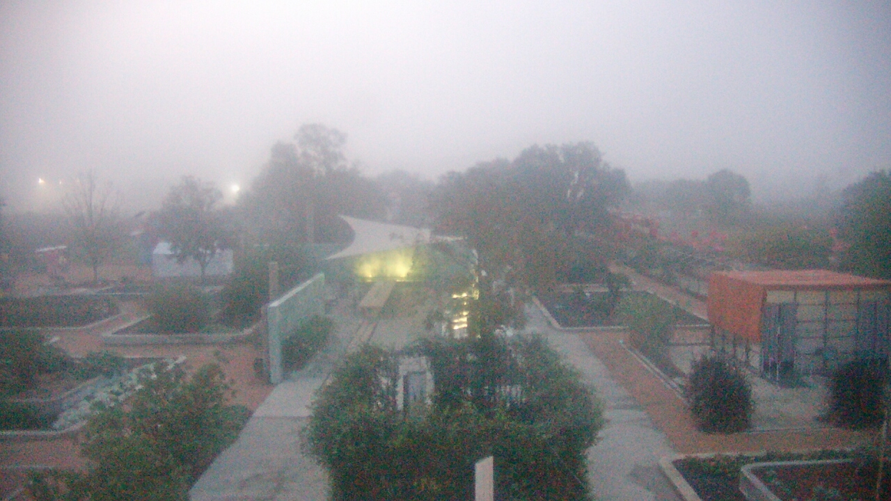 Thumbnail for current weather camera view from Houston Botanic Garden in Houston, Texas