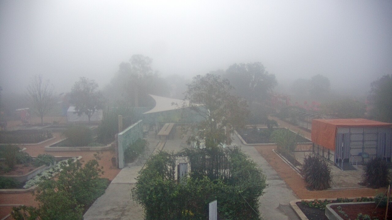 Thumbnail for current weather camera view from Houston Botanic Garden in Houston, Texas