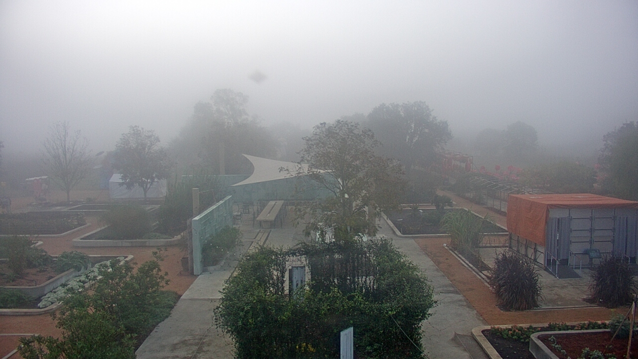 Thumbnail for current weather camera view from Houston Botanic Garden in Houston, Texas