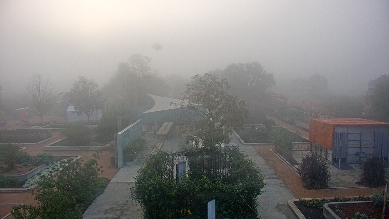 Thumbnail for current weather camera view from Houston Botanic Garden in Houston, Texas