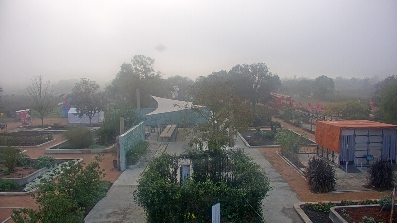 Thumbnail for current weather camera view from Houston Botanic Garden in Houston, Texas