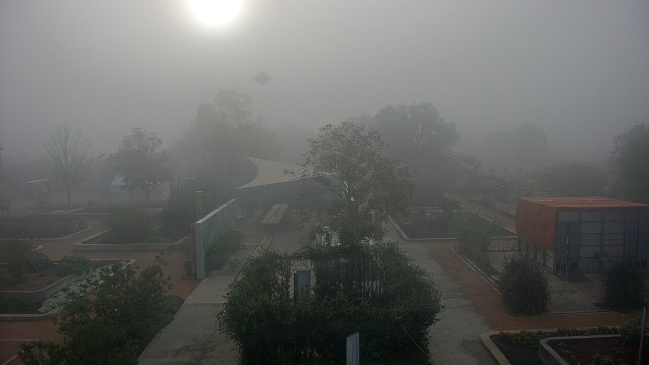 Thumbnail for current weather camera view from Houston Botanic Garden in Houston, Texas