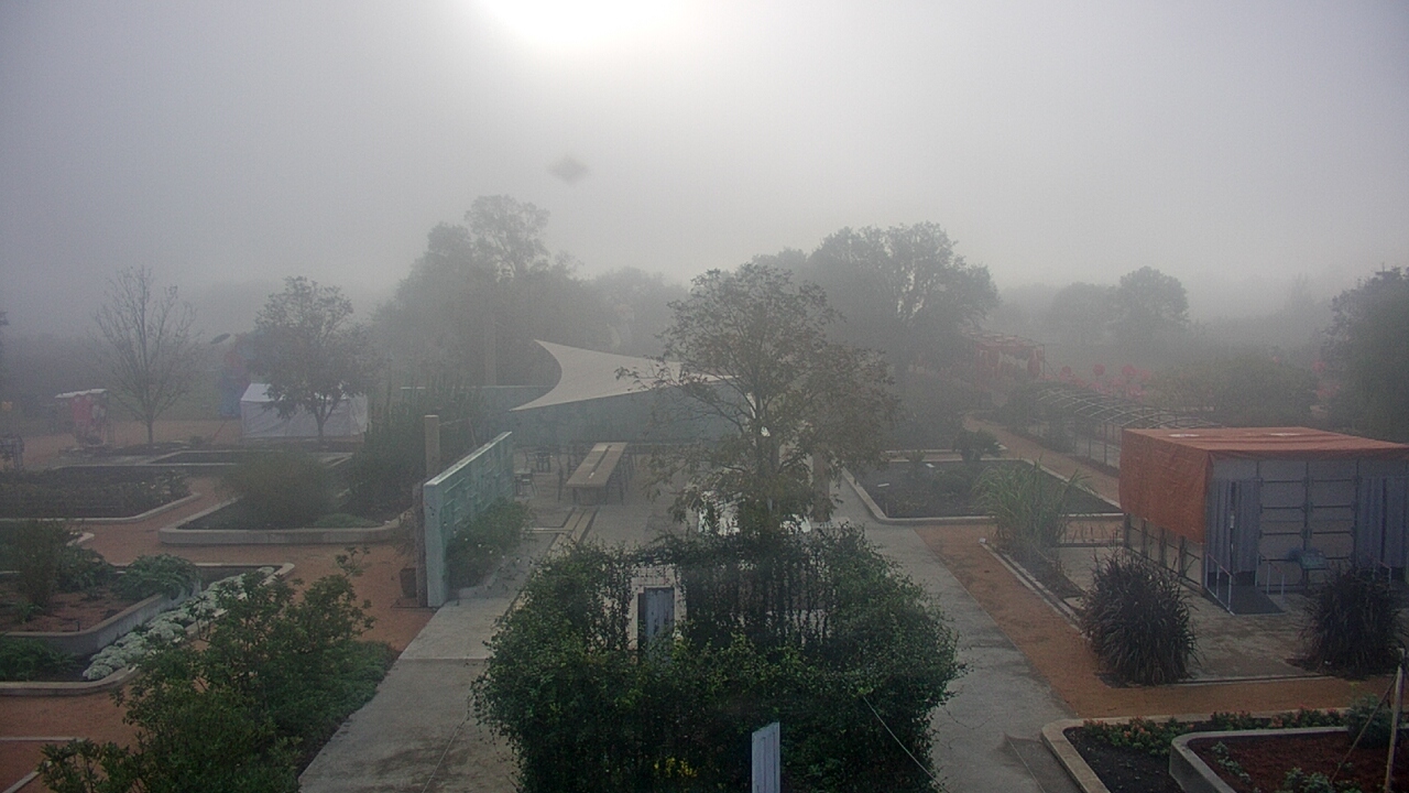 Thumbnail for current weather camera view from Houston Botanic Garden in Houston, Texas