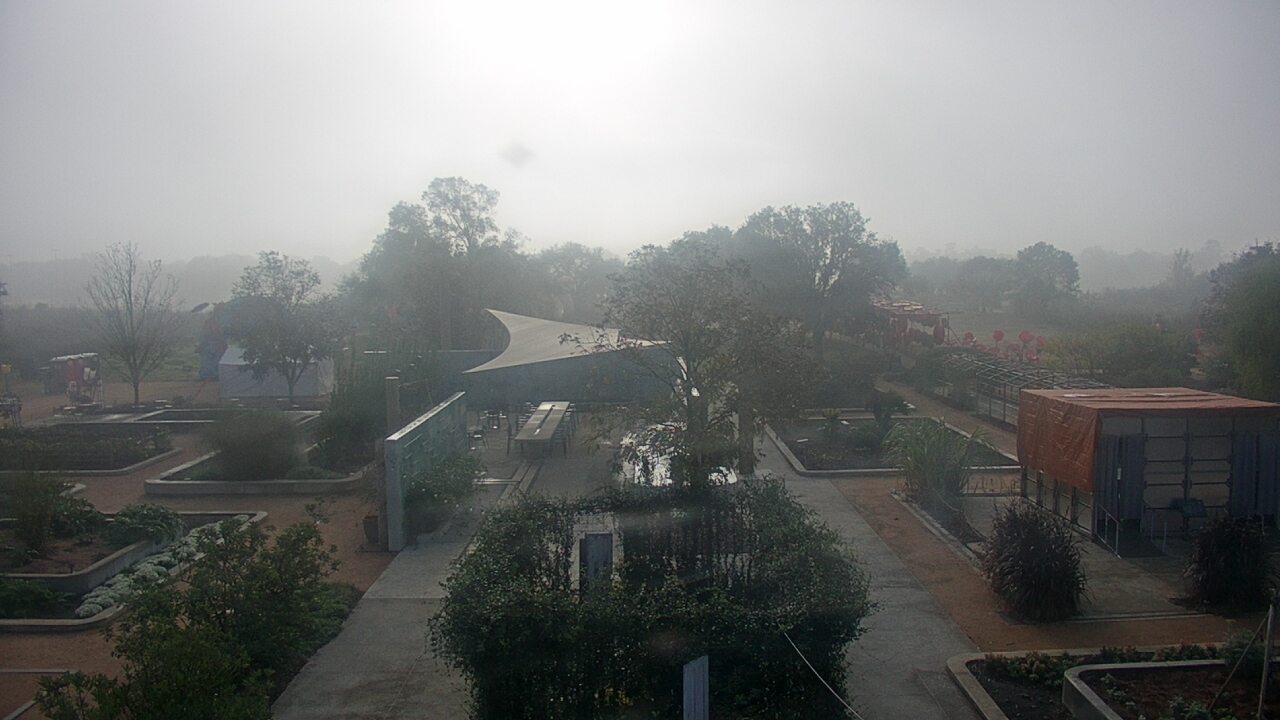 Thumbnail for current weather camera view from Houston Botanic Garden in Houston, Texas
