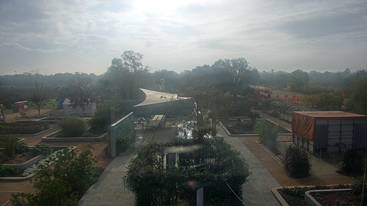 Thumbnail for current weather camera view from Houston Botanic Garden in Houston, Texas