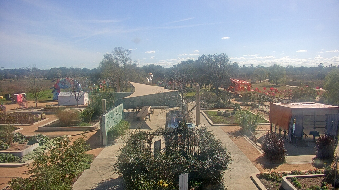 Thumbnail for current weather camera view from Houston Botanic Garden in Houston, Texas