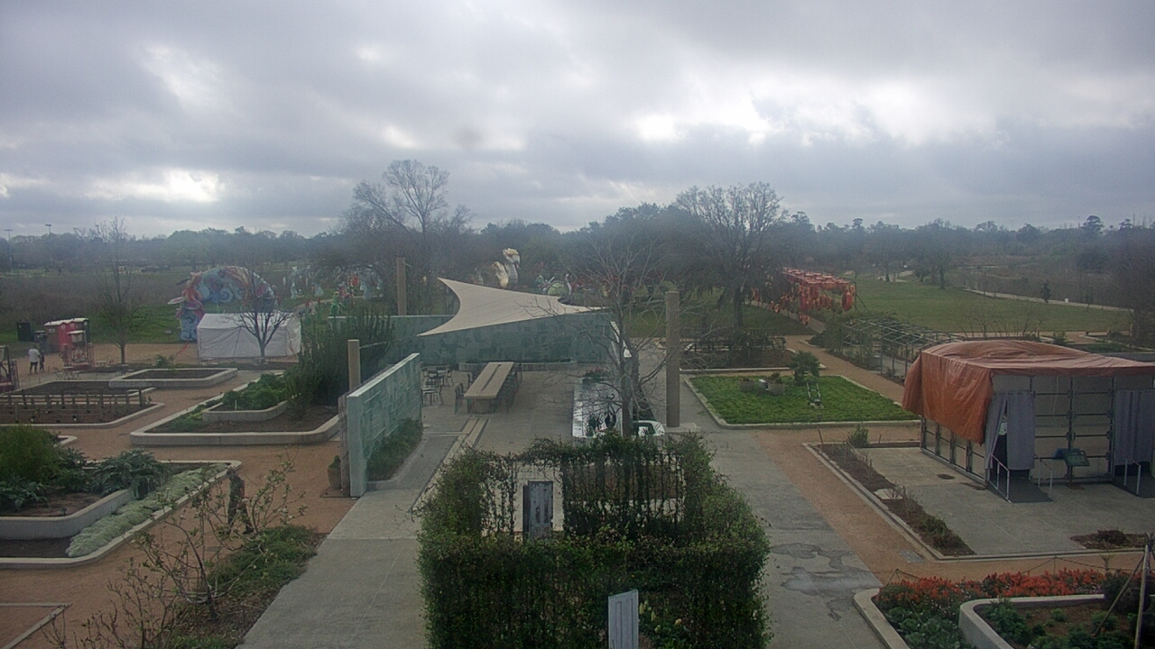 Thumbnail for current weather camera view from Houston Botanic Garden in Houston, Texas