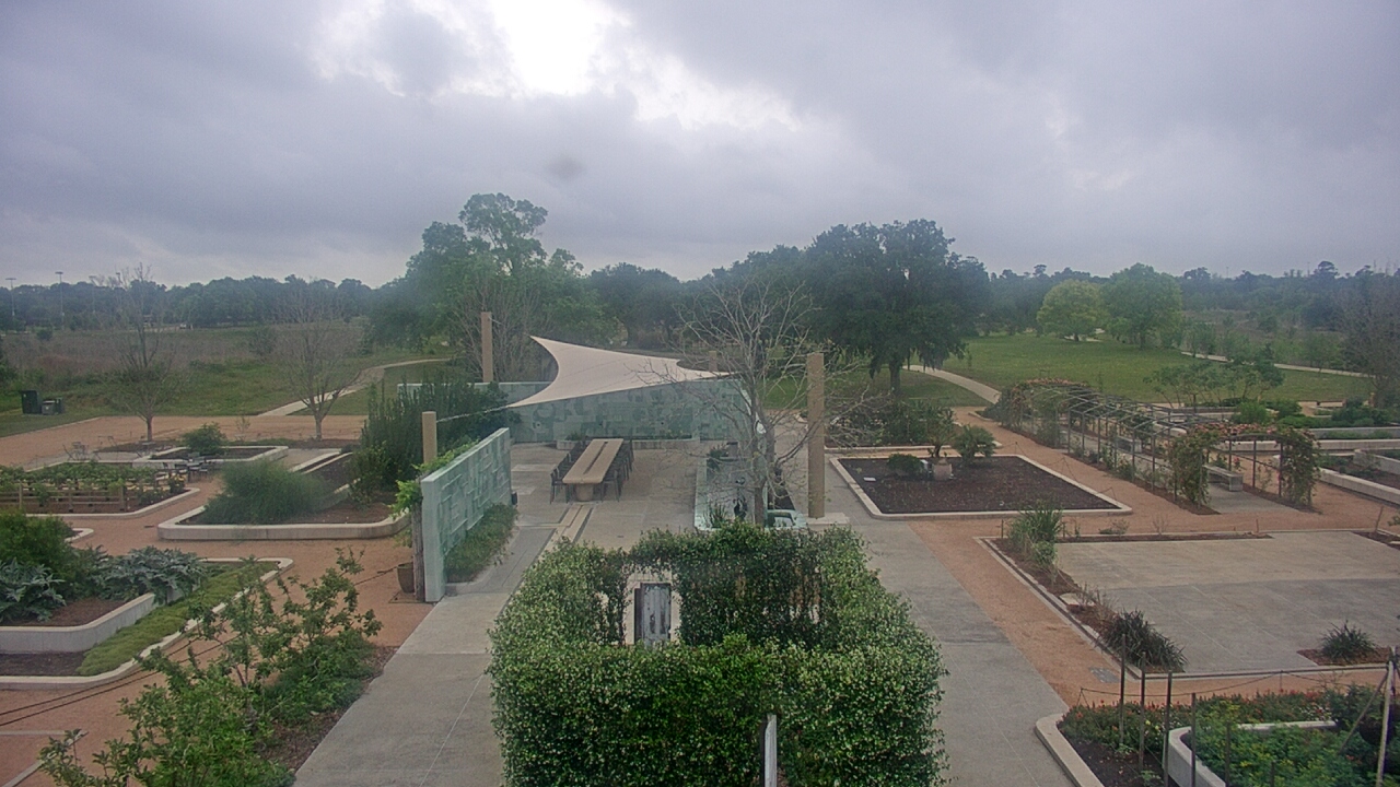 Thumbnail for current weather camera view from Houston Botanic Garden in Houston, Texas