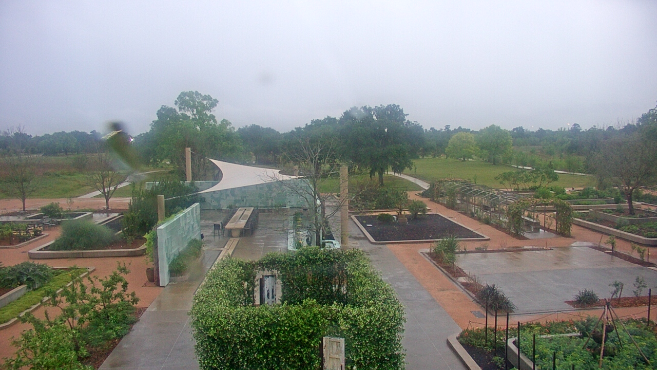 Thumbnail for current weather camera view from Houston Botanic Garden in Houston, Texas